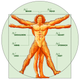 Image for article titled Here’s What The 4-Week Sasquatch Challenge Does To Your Body